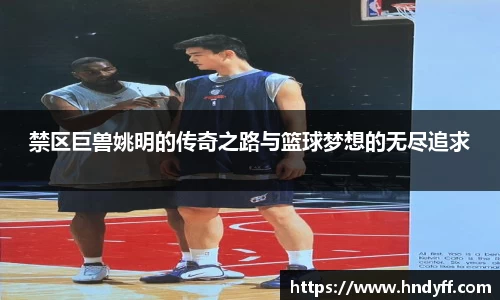 禁区巨兽姚明的传奇之路与篮球梦想的无尽追求